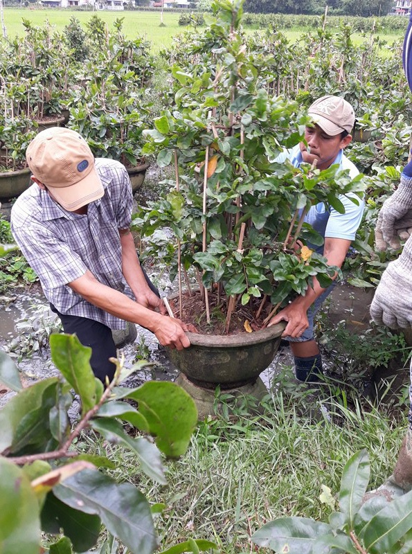 TPHCM lần đầu tổ chức sơ tán dân vùng ven biển để tránh bão - 10 Đưa mai lên bờ