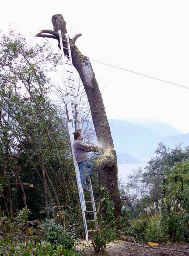 Chùm ảnh hài hước lý giải tại sao phụ nữ "sống thọ" hơn nam giới - 4 Cây đổ thì người cũng ... đổ theo.