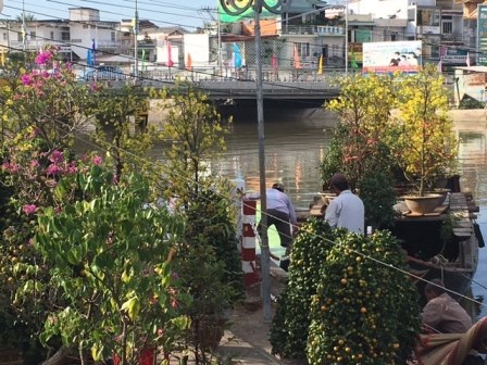 Hoa, kiểng ế ẩm, đồng loạt “xả hàng” chiều 30 Tết - 6 Một số người chuyển mai vàng xuống ghe trở về quê