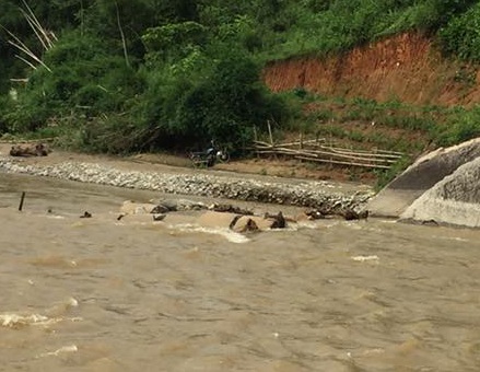 Hình ảnh người dân "đánh cược mạng sống" khi mưa lũ cuốn trôi cầu tạm - 1 
Cầu tạm là những ống cống đã bị mưa lũ cuốn trôi.