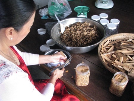 Về Cà Mau nhớ thử mắm ong rừng U Minh Hạ - 6