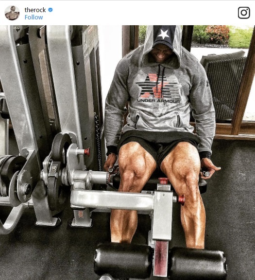 Các bài tập thể lực của Dwayne chủ yếu là những bài tập quen thuộc, nhưng với cường độ cao. Mục tiêu của Dwayne là những bó cơ lớn “ăn hình” nhất như cơ ngực, lưng, bắp tay, bắp chân.