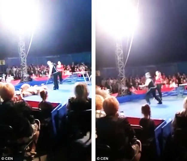 Đoạn video clip do một khán giả ghi lại cho thấy khoảnh khắc con gấu bất ngờ bỏ qua sự hướng dẫn của người huấn luyện và nhảy qua bục ngăn cách vào đám đông khán giả.