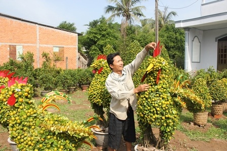 Xứ hoa Bến Tre đẹp như “tranh vẽ” ngày giáp Tết - 9 Xứ hoa Bến Tre đẹp như “tranh vẽ” ngày giáp Tết - 9
