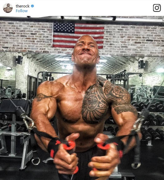 Về cơ bản, các bài tập mà Dwayne thực hiện rất quen thuộc. Nhưng cường độ mà anh luyện tập thì không dành cho đa phần những người tìm tới phòng gym chỉ để nâng cao sức khỏe.