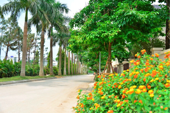 Những khoảng không gian xanh mát, yên bình mang lại môi trường trong lành cho cư dân Sunny Garden City