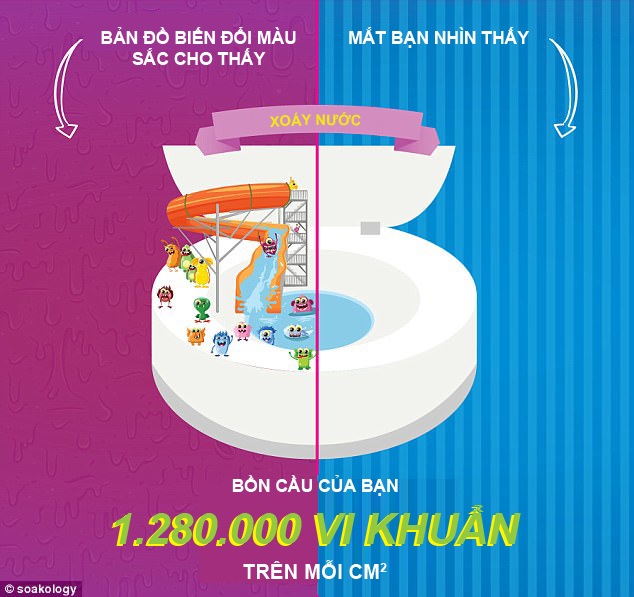 [Inforgraphics]: 7 bí kíp để phòng tắm không thành ổ vi khuẩn - 5