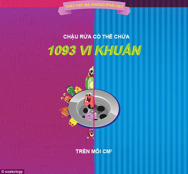 [Inforgraphics]: 7 bí kíp để phòng tắm không thành ổ vi khuẩn - 6