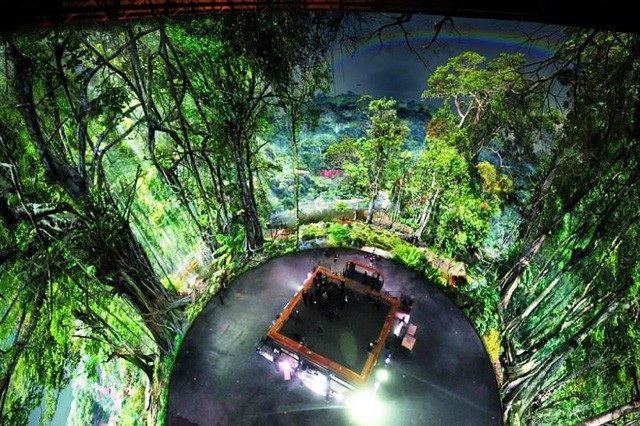 Tái hiện rừng nhiệt đới Amazon với  tấm ảnh | Báo Dân trí