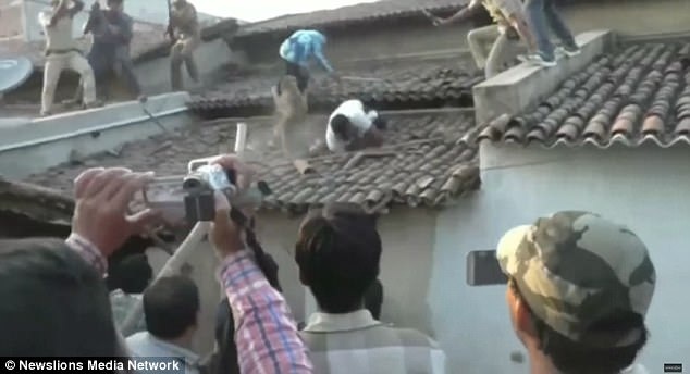 
Con báo chỉ bị khống chế sau 12 giờ
