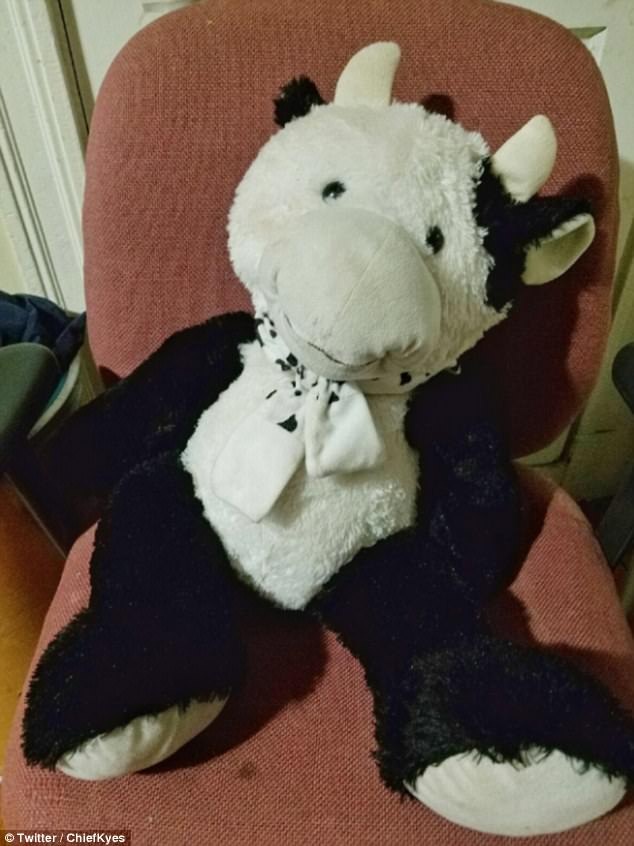 Rơi từ độ cao gần 5m, cậu bé sống sót thần kỳ nhờ thú nhồi bông - 1
Con bò Luis đã ôm khi bị rơi ra ngoài cửa sổ