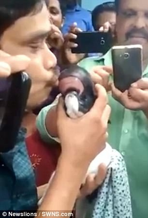 
Chandra quyết định nuôi con dê dù nhiều người con nó là quỷ dữ
