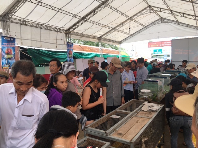 Rất đông khách du lịch đến tham quan những sinh vật lạ