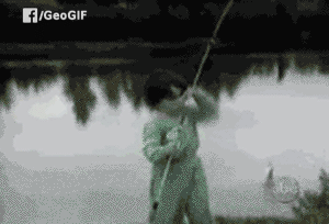 “Cười thả ga” đầu tuần với loạt ảnh động hài hước - 1 Vất vả câu lên để rồi lại hoảng sợ chính “thành quả” của mình