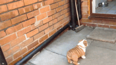 Nỗi khổ mang tên “chân ngắn”