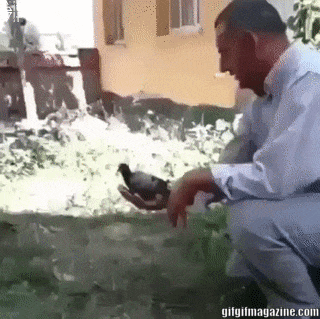 Một khi đã tới số thì...