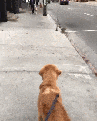 Khi được gặp lại bạn thân sau một thời gian xa cách