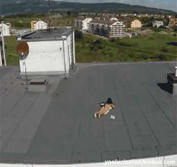 Chỉ nằm phơi nắng thôi mà cũng không yên!