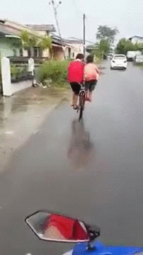 Thư giãn đầu tuần với chùm ảnh động cực hài hước - 3 Sức mạnh của làm việc nhóm