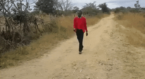 Cũng có điều khiển từ xa chẳng thua kém ai