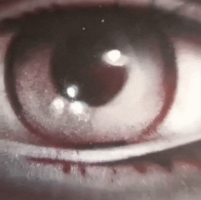 “Giải phẫu học” theo phong cách nghệ thuật đường phố