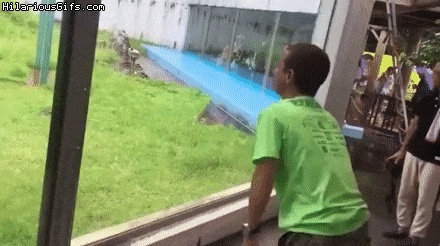 Đầu tuần "cười ngả nghiêng" với bộ ảnh động siêu hài hước - 7 Bạn cũ lâu năm mới gặp