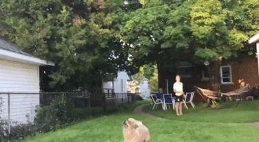 Khoảnh khắc trước khi vụ “va chạm kinh hoàng” xảy ra