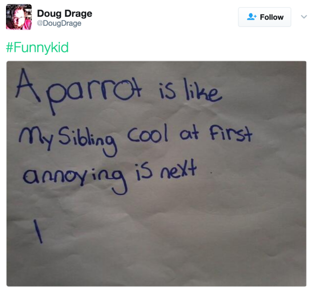 
Một con vẹt sẽ giống y như anh chị em mình, lúc đầu dễ thương sau thì phiền hết sức.
