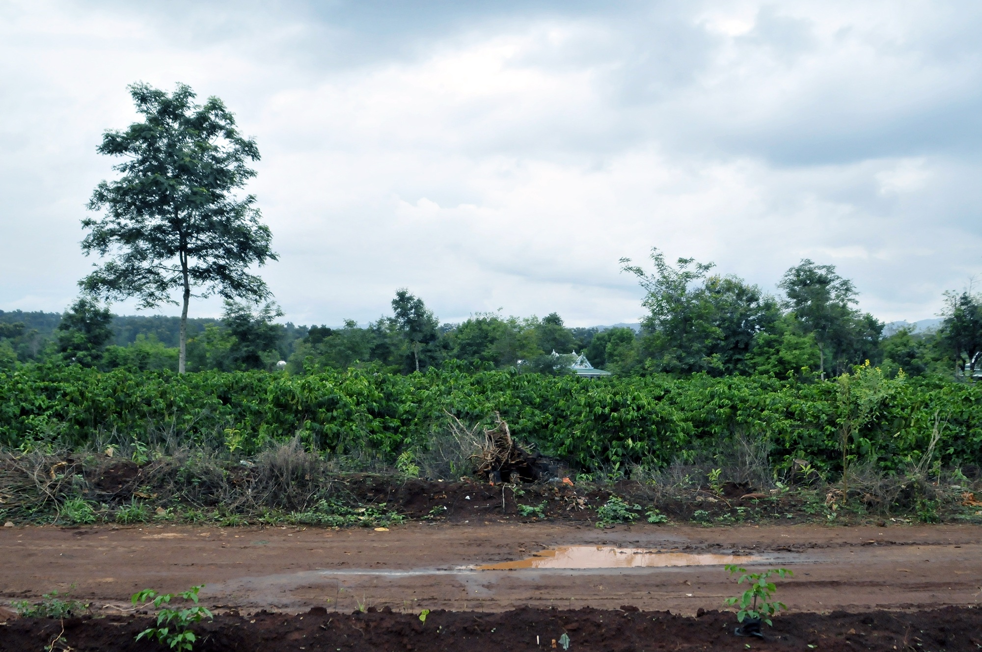 ảnh khu vực xảy ra sự việc đau lòng trên (2) ảnh khu vực xảy ra sự việc đau lòng trên (2)