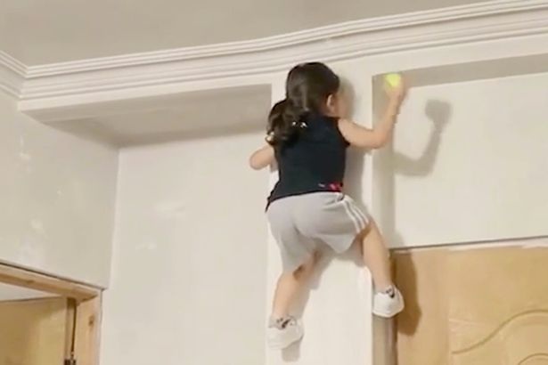 Bé 3 tuổi tay không trèo tường như "người nhện" - 3 Bé 3 tuổi tay không trèo tường như "người nhện" - 3