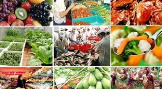 Vệ sinh an toàn thực phẩm: Thanh tra đột xuất, vi phạm chiếm gần 30% - 1 (Ảnh minh hoạ).