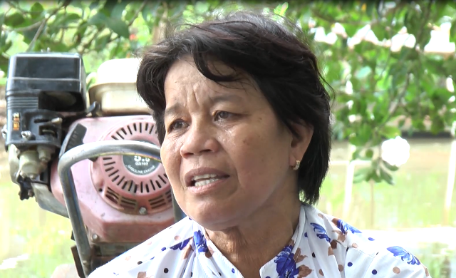 Những chuyến đò nghĩa tình đưa học sinh đến trường - 3 Bà Bảy đã nhiều năm liền đưa các em học sinh đến trường ngày 2 buổi nhưng không hề nhận một đồng tiền nào từ cha mẹ các bé.