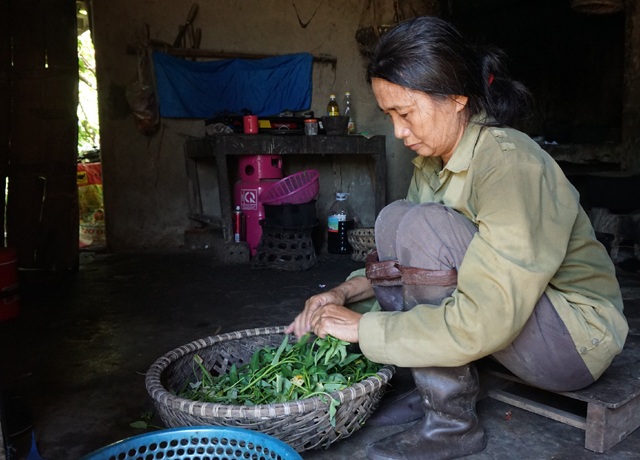 Xót xa gia đình cả năm không mấy khi được ăn cơm có thịt - 4 Chị Thanh chuẩn bị nấu cơm, món ăn chủ lực của gia đình vẫn là rau