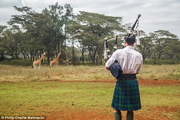 Chàng trai mặc váy du lịch khắp nơi, nổi như cồn nhờ tài lẻ thú vị - 2 Những con hươu cao cổ trong khu bảo tồn lắng nghe tiếng đàn của Ross rất chăm chú