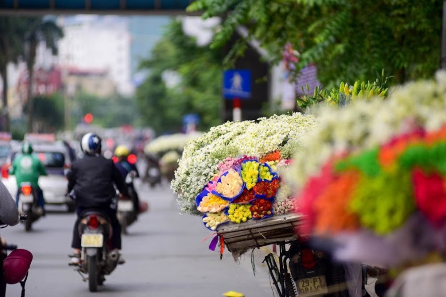 Cúc họa mi đẹp tinh khôi "gọi" đông về trên phố Hà Nội - 8 Những chiếc xe chở đầy cúc hoa mi trở thành nét chấm phá không thể thiếu của Hà Nội những ngày đầu đông