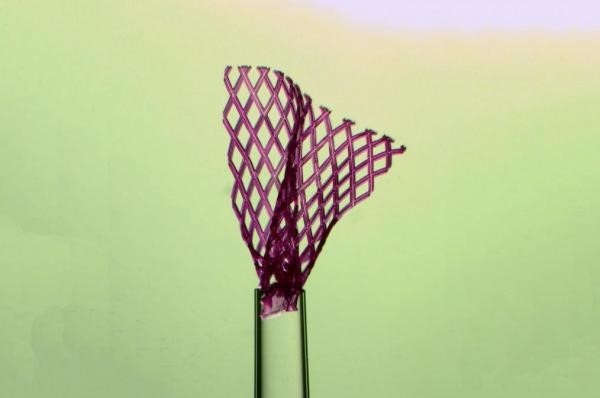 Băng chữa thương tiêm vào cơ thể giúp chữa trị cơ quan nội tạng - 1 Băng chữa thương tiêm vào cơ thể giúp chữa trị cơ quan nội tạng - 1