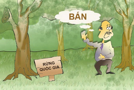 Hoan hô Kiểm lâm Mèo Vạc! - 1
Minh họa: Ngọc Diệp