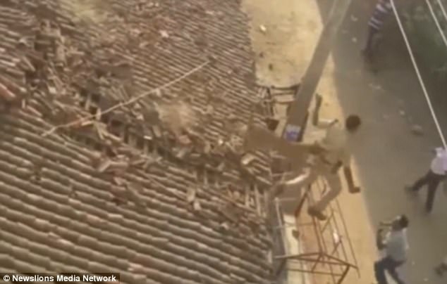 
Báo hoang tấn công khiến cả làng hoảng loạn. (Ảnh: Dailymail)
