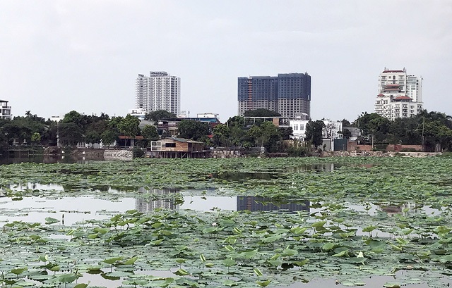 Người dân “vượt lũ” trên phố Hà Nội, “quái vật” khổng lồ xuyên lòng đất Sài Gòn - 9 Trước thông tin hàng chục biệt thự được xây dựng trên đất nông nghiệp cạnh Đầm Trị (quận Tây Hồ, Hà Nội), Thanh tra Sở Tài nguyên và Môi trường đã xuống làm việc với UBND phường Quảng An để làm rõ sự việc. (Ảnh: Quang Phong)