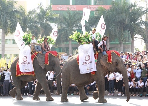 Khai mạc lễ hội đường phố đậm đà bản sắc dân tộc Tây Nguyên - 14 Những chú voi tham gia diễu hành