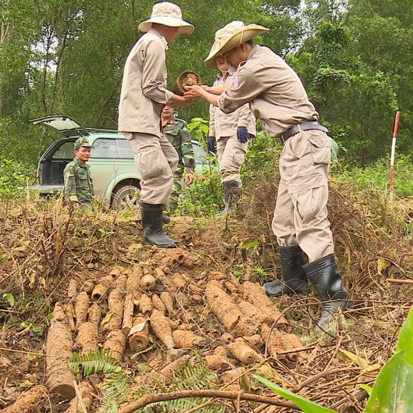 Lực lượng chức năng vận chuyển số đạn, pháo về nơi tập kết để hủy nổ (Ảnh: N.H)