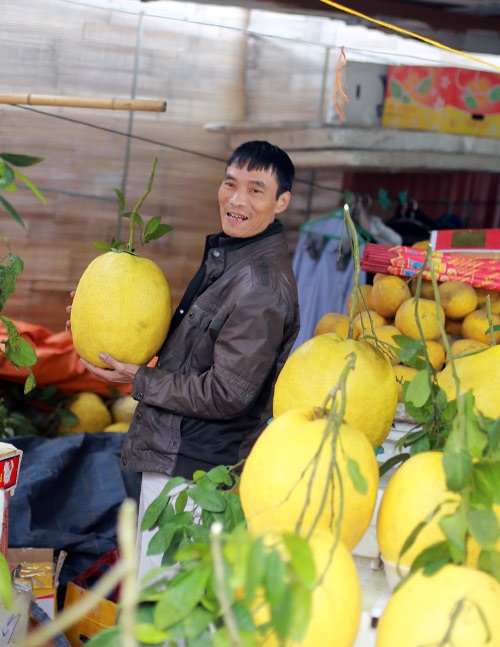 Bòng Kỳ đà bằng 4 quả bưởi tiến vua, giá nửa triệu đồng/quả - 6
Những quả bòng to ngoại cỡ có cân nặng 5 - 6 kg, nhìn bề ngoài rất bắt mắt.