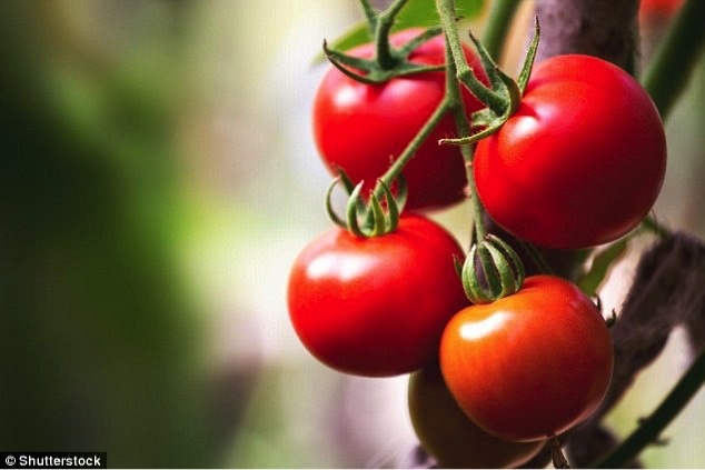 Bí mật của 5 thực phẩm được ưa thích hàng đầu - 5 Bí mật của 5 thực phẩm được ưa thích hàng đầu - 5