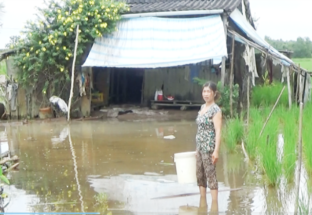 Mưa lớn cùng triều cường “làm khó” cuộc sống người dân - 2 Nhiều nơi ở Cà Mau ngập úng. (Ảnh: CTV)