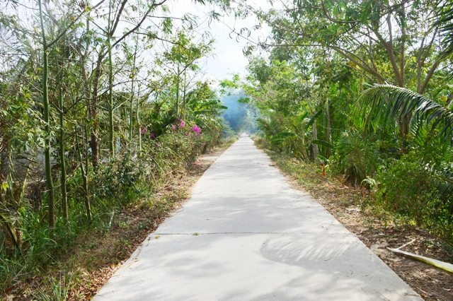 Hàng chục hộ dân chưa bao giờ biết đến ánh sáng của... đèn điện! - 1 Cả một đoạn đường dài không có một cây cột điện nào kéo vào.