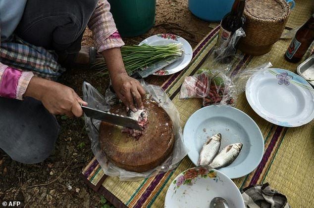 Ung thư đường mật cao nhất thế giới vì ăn cá sống - 1
Người dân Thái đang chế biến món Koi pla