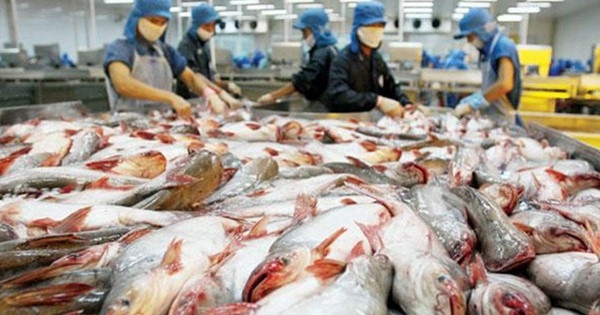 1.000 doanh nghiệp thực phẩm "rớt" khỏi danh sách xuất khẩu vào Mỹ - 1 (Ảnh minh hoạ).