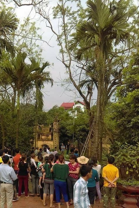 Vụ bán "cụ" sưa 26 tỷ đồng: Mỗi người dân được chia 10 triệu - 2
Cây sưa quý vốn được cả thôn quan tâm. Thôn từng quấn vòng sắt xung quanh thân để bảo vệ cây, đề phòng bị cưa trộm.