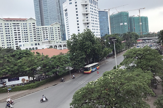 Trả tiền lẻ qua trạm thu phí “lây” đến Quốc lộ 5 và giẫm đạp, cướp tiền trong ngày Rằm - 9 Dự kiến đến hết tháng 10/2017, khoảng 130 cây xanh trên đường Kim Mã (từ hồ Thủ Lệ đến nút giao Núi Trúc) sẽ bị đánh chuyển, chặt hạ để phục vụ thi công tuyến đường sắt đô thị Ga Hà Nội – Nhổn. (Ảnh: Quang Phong)