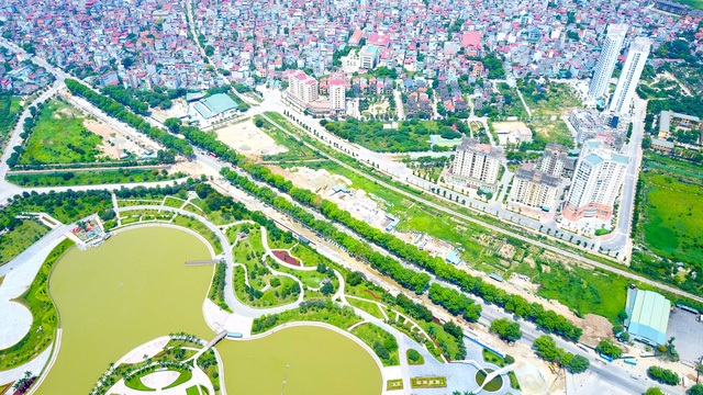 Ngày mai Hà Nội chặt hạ, đánh chuyển hơn 1.000 cây cổ thụ - 1 Hơn 1.000 cây xanh trên đường Phạm Văn Đồng sẽ được đánh chuyển